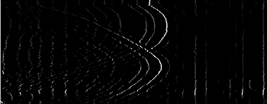 Sas1